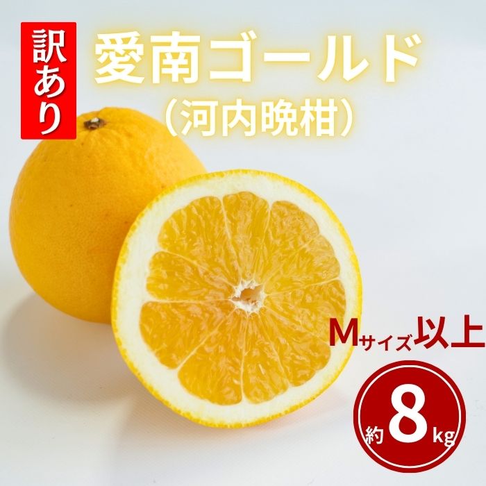 先行予約 訳あり 愛南ゴールド 8kg Mサイズ以上 河内晩柑 柑橘 フルーツ 果物 蜜柑 みかん くだもの 家庭用 傷 不揃い サイズミックス かわち ばんかん 和製 グレープフルーツ デザート甘い ジューシー 特産品 国産 農園 直送 愛媛県 愛南町 和家農園