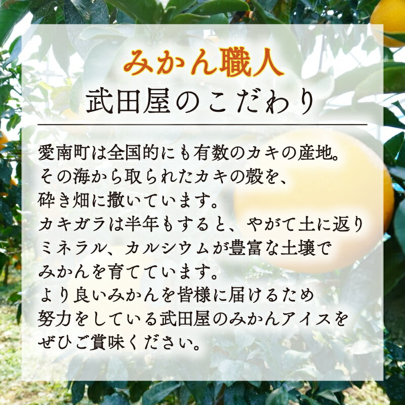 【ふるさと納税】 みかん職人が作ったフローズンゼリー 40g×1種 計12個 河内晩柑 みかん 人気 デザート スイーツ アイス ゼリー みかん職人武田屋 愛媛 愛南 - 画像3