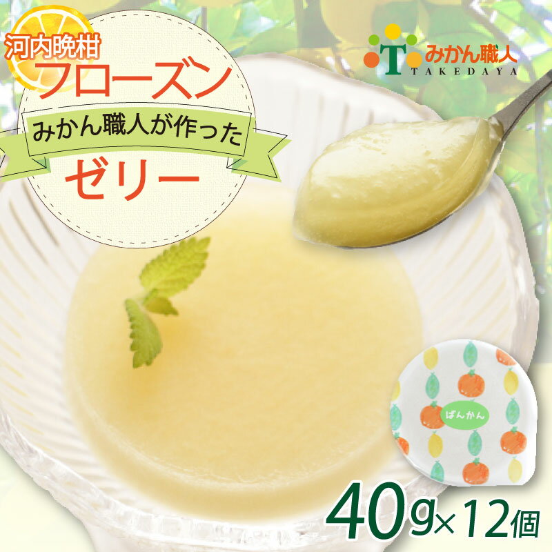 みかん職人が作ったフローズンゼリー 40g×1種 計12個 河内晩柑 みかん 人気 デザート スイーツ アイス ゼリー みかん職人武田屋 愛媛 愛南