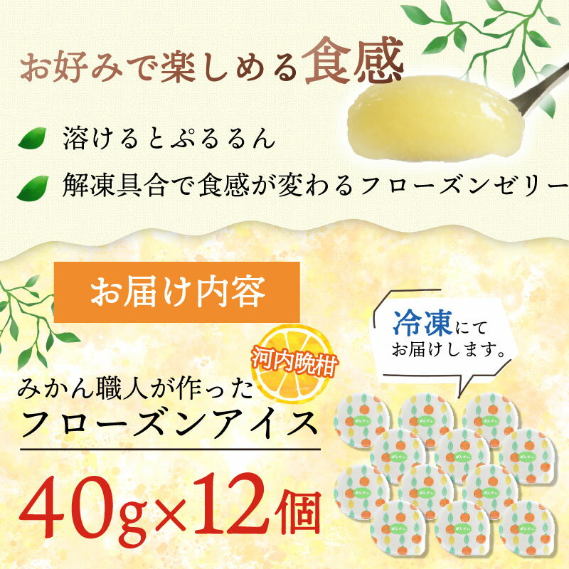 【ふるさと納税】 みかん職人が作ったフローズンゼリー 40g×1種 計12個 河内晩柑 みかん 人気 デザート スイーツ アイス ゼリー みかん職人武田屋 愛媛 愛南 - 画像2
