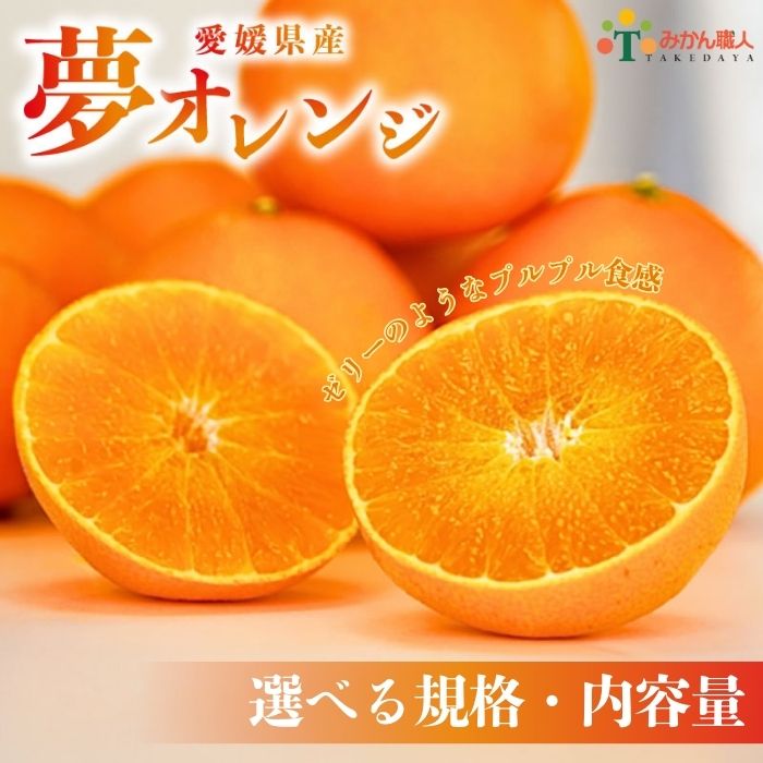 高評価★4.43 選べる 夢オレンジ 1kg 2kg 3kg 5kg 訳あり 小玉 特選品 贈答用 オレンジ 柑橘 プレゼント 果物 蜜柑 おれんじ 愛媛 まどんな 愛果28号 みかん 柑橘 くだもの フルーツ 愛媛県 愛南町 みかん職人武田屋 （クラウドファンディング対象）