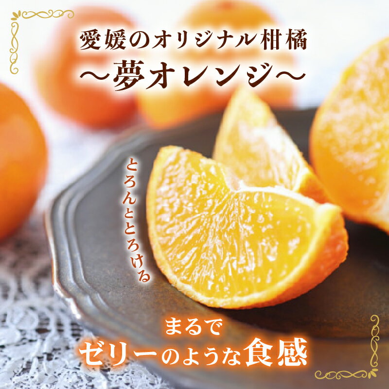 【ふるさと納税】 高評価★4.43 選べる 夢オレンジ 1kg 2kg 3kg 5kg 訳あり 小玉 特選品 贈答用 オレンジ 柑橘 プレゼント 果物 蜜柑 おれんじ 愛媛 まどんな 愛果28号 みかん 柑橘 くだもの フルーツ 愛媛県 愛南町 みかん職人武田屋 （クラウドファンディング対象） サムネイル3