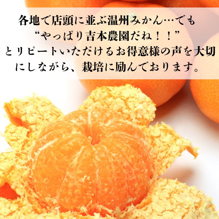 【ふるさと納税】 【高評価★4.30】 先行予約 期間限定 愛媛みかん 1kg 1.8kg 2.5kg 3kg 5kg 訳あり 贈答 果物 柑橘 みかん 小分け 蜜柑 フルーツ ゼリー ジュース オレンジ 甘い 糖度 不揃い 傷 愛媛 愛南町 吉本農園 サムネイル2