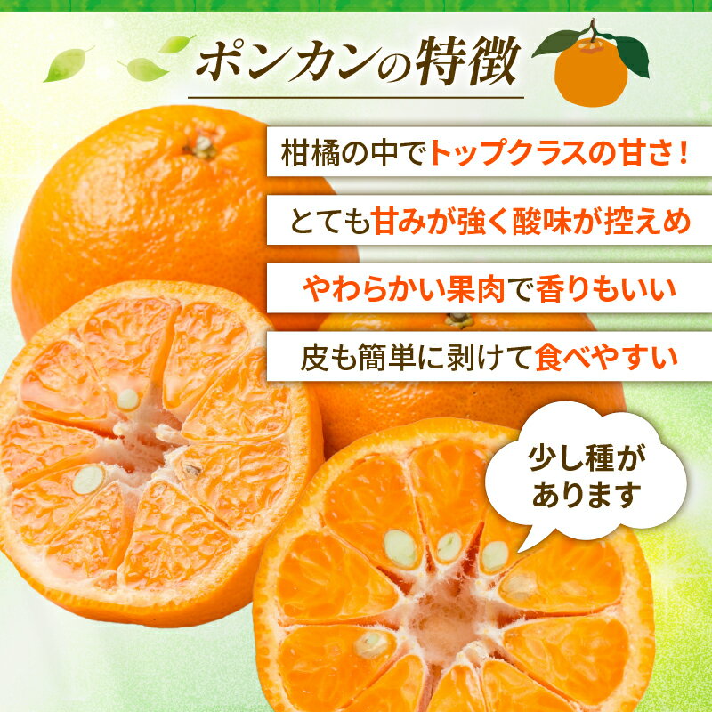 【ふるさと納税】 高評価★4.62 選べる 内容量 訳あり ポンカン 1.5kg 3kg 5kg 10kg ふるさと納税 フルーツ 果物 少量 みかん 柑橘 果実 くだもの フルーツ デコポン ぽんかん 冬 規格外 不揃い 愛媛県 愛南町 清家ばんかんビレッジ サムネイル2
