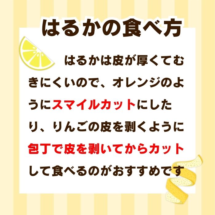 【ふるさと納税】 選べる内容量 先行受付 訳あり はるか 2kg 5kg 7kg 【発送時期2026年1月下旬〜】 なくなり次第終了 柑橘 かんきつ 期間限定 みかん 蜜柑 冬 傷 不揃い みかん職人武田屋 サムネイル3