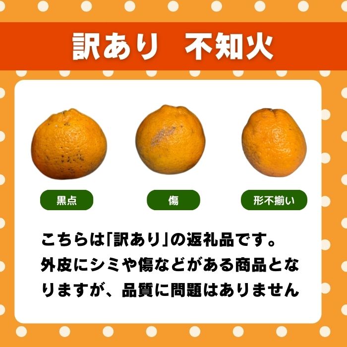 【ふるさと納税】 選べる内容量 先行受付 訳あり 不知火 1kg 3kg 5kg 【発送期間：2025年2月上旬〜なくなり次第終了 】 しらぬい かんきつ 柑橘 みかん 蜜柑 でこぽん おやつ きず 傷 ふぞろい 不揃いフルーツ 果物 くだもの 果実 愛媛県 愛南町 みかん職人武田屋 サムネイル3