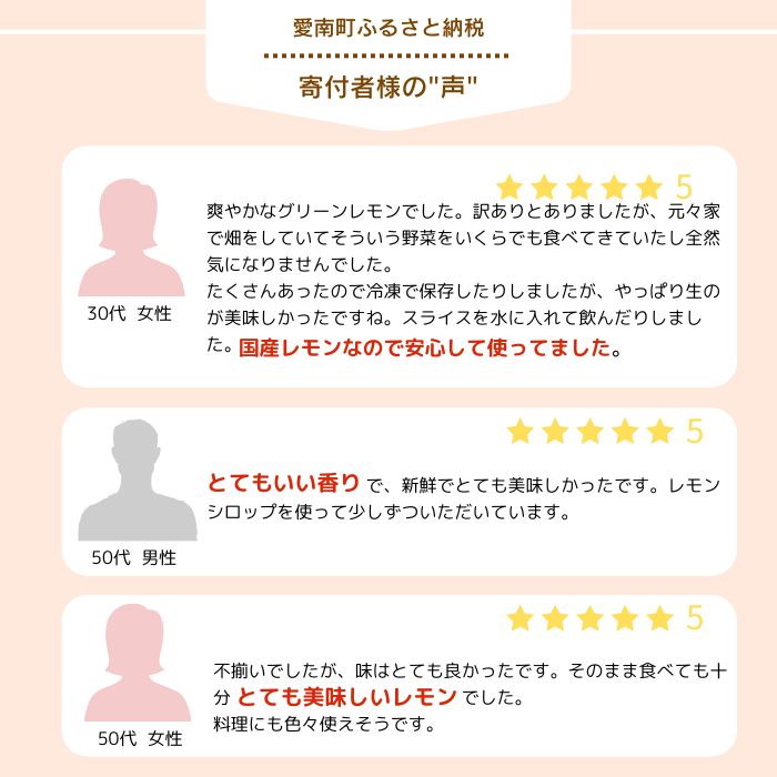 【ふるさと納税】 選べる 訳あり レモン（ イエローレモン ） 1kg 3kg 5kg 【発送期間:2025年12月上旬〜なくなり次第終了】りのか 減農薬 レモン 柑橘 檸檬 果物 くだもの 果実 フルーツ 愛媛 みかん職人武田屋 ブランド 愛媛県産 瀬戸内 直送 産直 無添加 愛媛県 愛南町 - 画像3