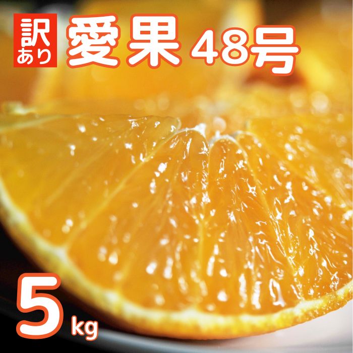 先行予約 訳あり 愛果48号 （みかん） 5kg みかん 愛媛県 の 新品種 高級 人気 ブランド 柑橘 果物 フルーツ サイズミックス 甘い おいしい お取り寄せ 産地直送 農家直送 国産 特産品 中山農園 愛媛県 愛南町