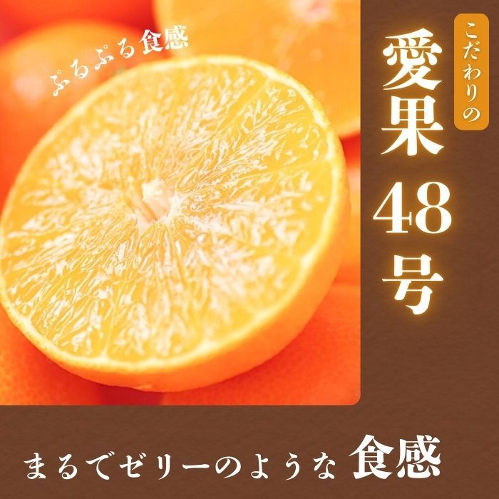 【ふるさと納税】 先行予約 訳あり 愛果48号 （みかん） 5kg みかん 愛媛県 の 新品種 高級 人気 ブランド 柑橘 果物 フルーツ サイズミックス 甘い おいしい お取り寄せ 産地直送 農家直送 国産 特産品 中山農園 愛媛県 愛南町 サムネイル2