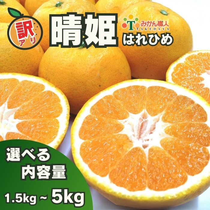 訳あり 晴姫 はれひめ 1.5kg 3kg 5kg かんきつ 柑橘 ふるさと納税 みかん ふるさと納税 訳あり 傷 規格外 柑橘 果物 フルーツ 愛媛県 愛南町 ) みかん職人武田屋