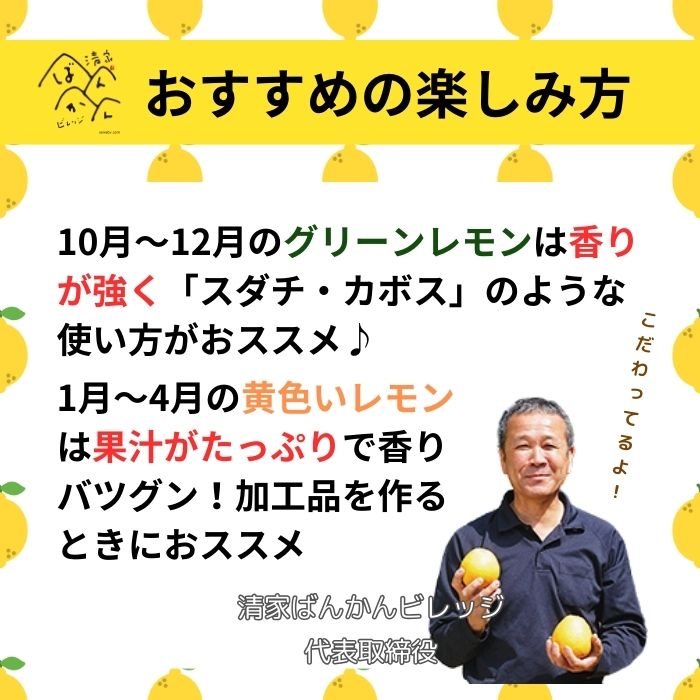 【ふるさと納税】 訳あり レモン 選べる 容量 1.5kg 3kg 5kg S M L サイズミックス 防腐剤 ワックス 不使用 皮 まで 安心 して 使える 時期 で 変わる グリーン ＆ イエロー 香り お届け 愛媛県 愛南町 清家ばんかんビレッジ【発送：2025年10月～2026年4月】 サムネイル3