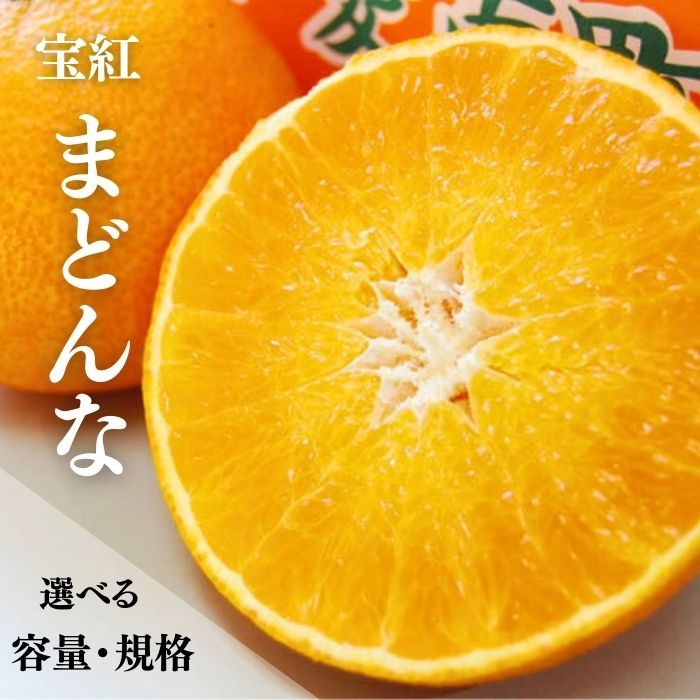 【先行予約】 選べる 容量 規格 訳あり 贈答用 宝紅まどんな 1.5kg 800g サイズミックス 傷 黒点 果物 柑橘 みかん 愛果28号 人気 フルーツ 高級 マドンナ 宝紅マドンナ 10,000円 愛南町 吉本農園 （クラウドファンディング対象）