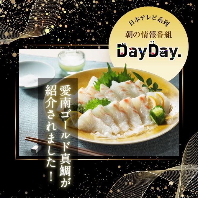 【ふるさと納税】 【高評価★4.72】訳あり 愛南ゴールド 真鯛 合計約 500g みかん 鯛 チョイスアワード大賞受賞 ESSEグランプリ金賞受賞 タイ 刺身用柵 ＋ 鯛 カマ 塩 オリーブオイル ソース 付き 河内晩柑 柑橘 刺身 ハマスイ 愛南町 愛媛県 - 画像3