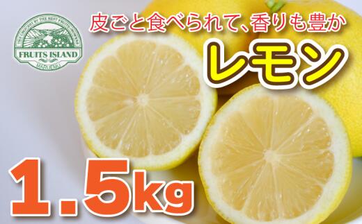 【先行予約 10月上旬～発送予定】 レモン 約 1.5kg 12個 7000円 檸檬 フルーツ 果物 くだもの 柑橘 国産 新鮮 減農薬 ノンワックス 防腐剤 不使用 ビタミンC 美容 美肌 健康 皮ごと みかん 蜜柑 さっぱり 料理 産地 直送 愛媛県 愛南町