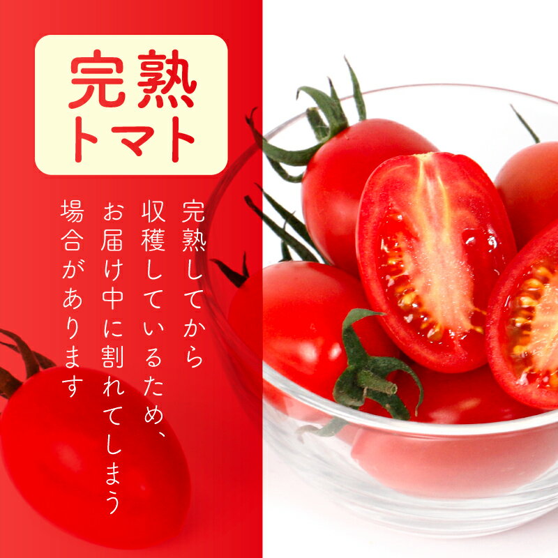【ふるさと納税】トマト 3種 アイコ ラブリーさくら フルティカ 約1.6～2.2kg 大瀧農園 トマト 完熟トマト 野菜 産地 直送 人気 国産 愛媛県 愛南町 発送期間 2026年3月1日～7月頃まで - 画像3