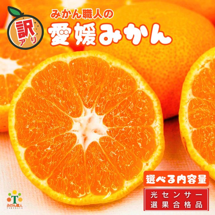 高評価★4.4 訳あり愛媛みかん 選べる内容量 1kg 3kg 5kg 2kg×2箱 ( 傷み保証 300g ) 光センサー選果 柑橘 果物 フルーツ 不揃い 傷 みかん ミカン 蜜柑 果実 温州みかん みかん職人武田屋 愛媛県 愛南町