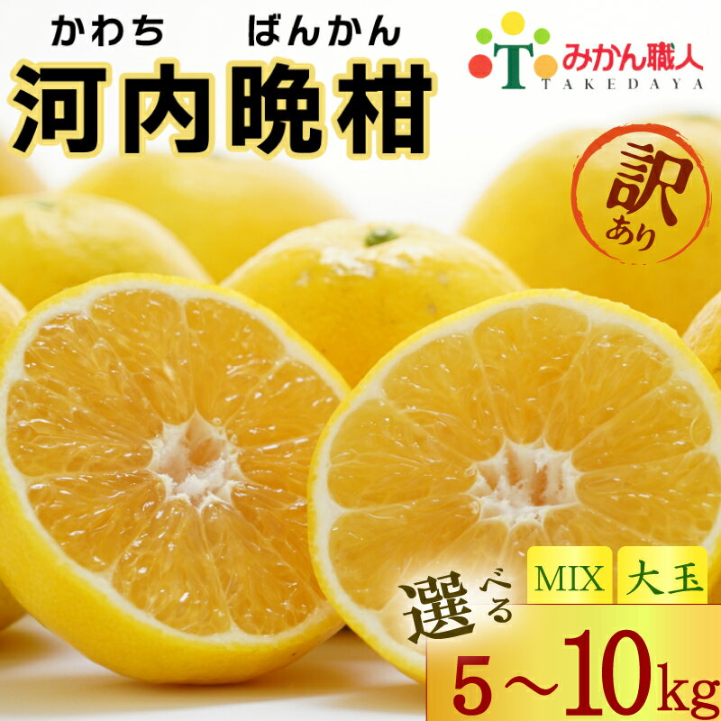 訳あり 河内晩柑 5kg 10kg 訳あり 先行予約 サイズミックス 大玉 晩柑 かわちばんかん 柑橘 和製 グレープフルーツ 国産 愛媛 みかん 果物 果実 フルーツ 特産品 有名 みかん 職人 武田屋 おいしい ビタミン 傷あり 家庭用 2026年発送