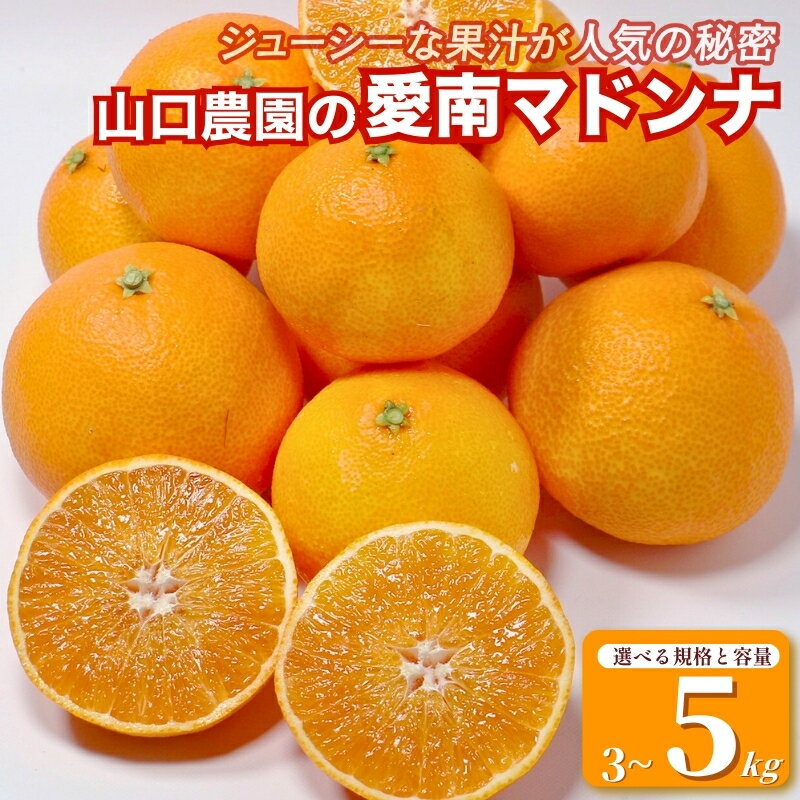 先行予約 選べる 規格 容量 愛南マドンナ 3kg 5kg 訳あり 精品 まどんな 紅まどんな 愛果28号 みかん 蜜柑 mikan ミカン 高級 人気 ブランド 柑橘 果物 フルーツ ビタミン 美容 健康 国産 産地 直送 愛媛県 愛南町 山口農園