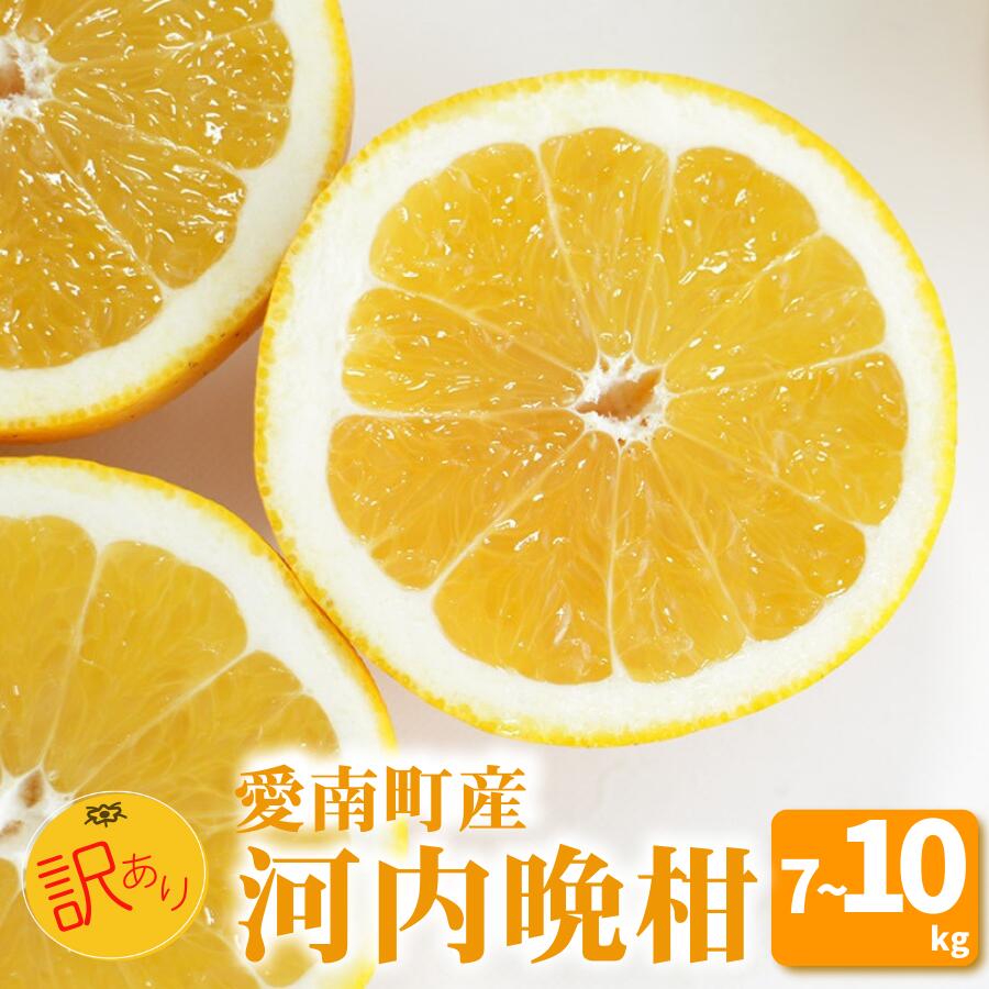 先行予約 選べる 容量 訳あり 河内晩柑 7kg 10kg みかん 蜜柑 愛南ゴールド フルーツ 果物 くだもの 柑橘 和製 グレープフルーツ みかん 蜜柑 柑橘 柑橘類 フルーツ 果物 くだもの ゼリー ジュース 愛媛県 愛南町 山口農園
