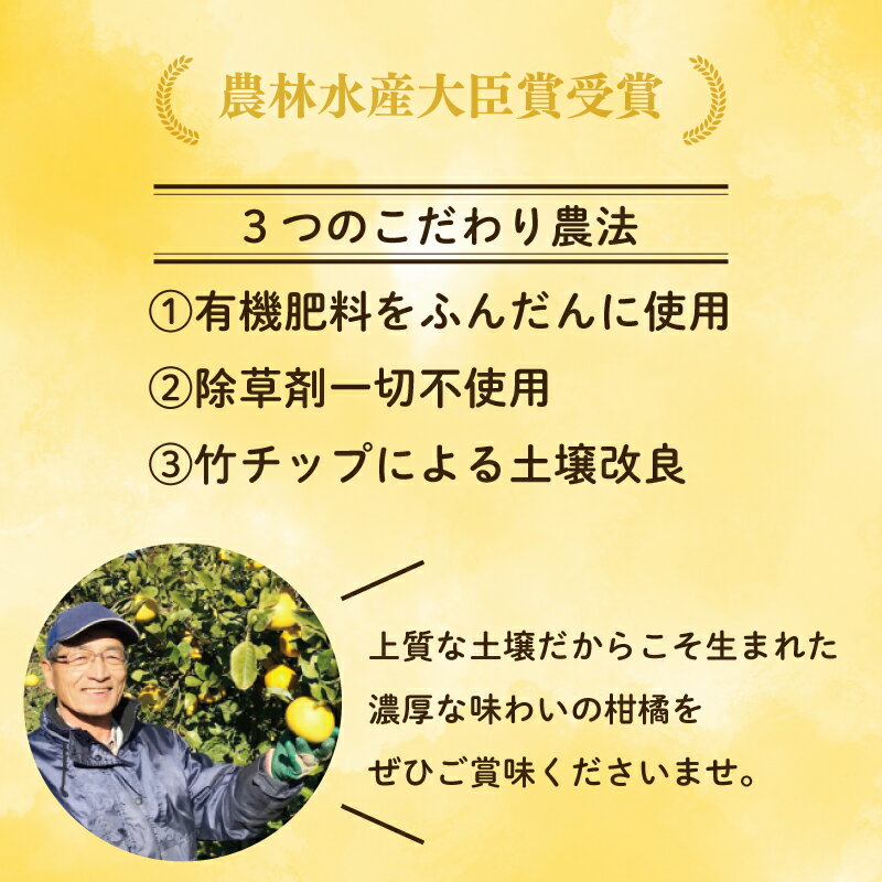 【ふるさと納税】 高評価★4.62 先行受付 選べる 河内晩柑 訳あり 家庭用 贈答 発送 2026年 先行予約 みかん ふるさと納税 みかん かわちばんかん 愛南ゴールド 果物 フルーツ ギフト 訳あり 家庭用 河内晩柑 ふるさと納税 河内晩柑 柑橘 かんきつ 愛媛県 愛南町 吉本農園 サムネイル3