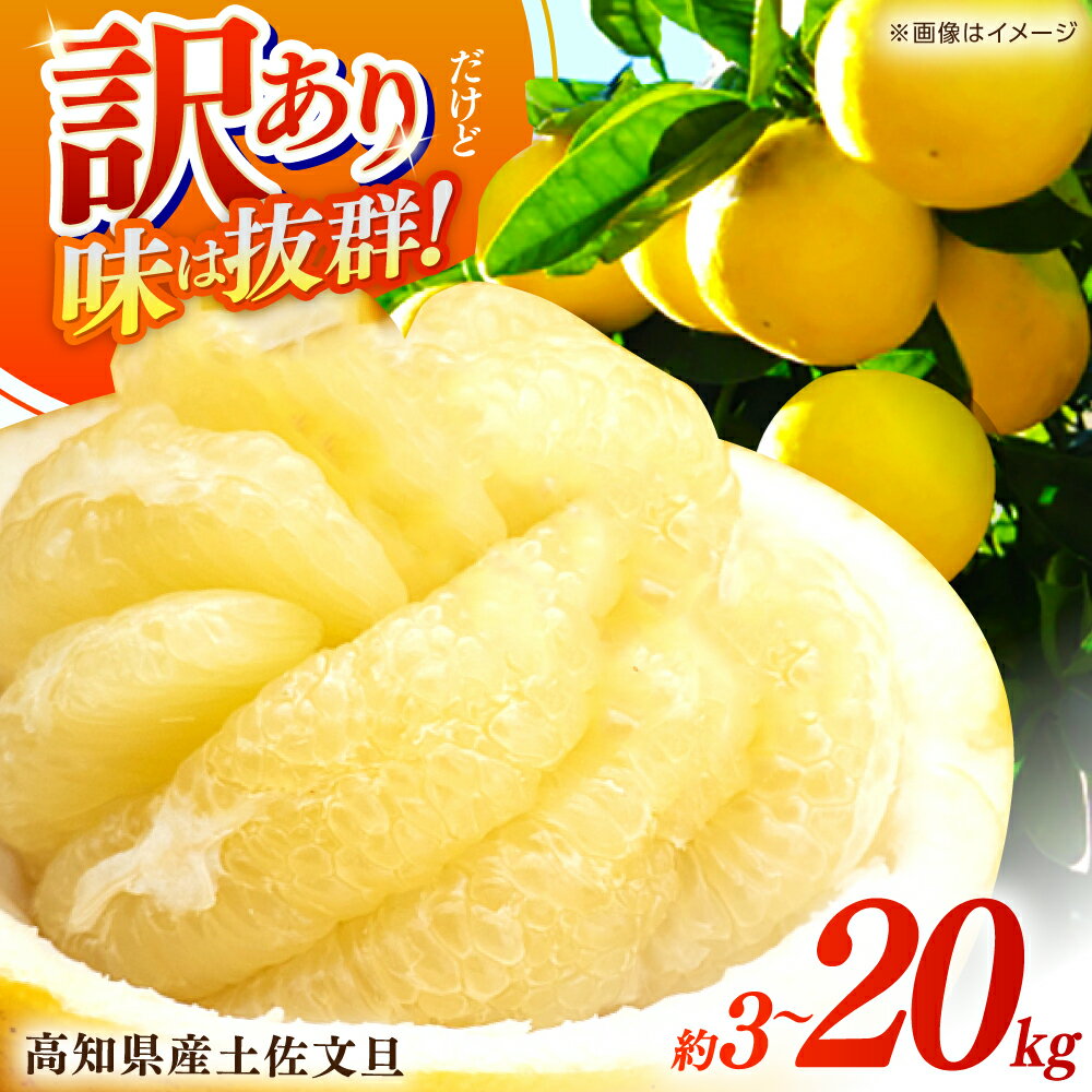 【先行予約】高評価★4.88 高知県産 訳あり 土佐文旦 約 3kg 5kg 10kg 20kg 〈2026年2月〜発送〉 【四国健商】[ATAF038] ＼選べる容量／ 大容量 旬 文旦 みかん 柑橘 ぶんたん ブンタン 果物 フルーツ 訳あり 訳アリ わけあり ワケアリ 理由あり 先行予約