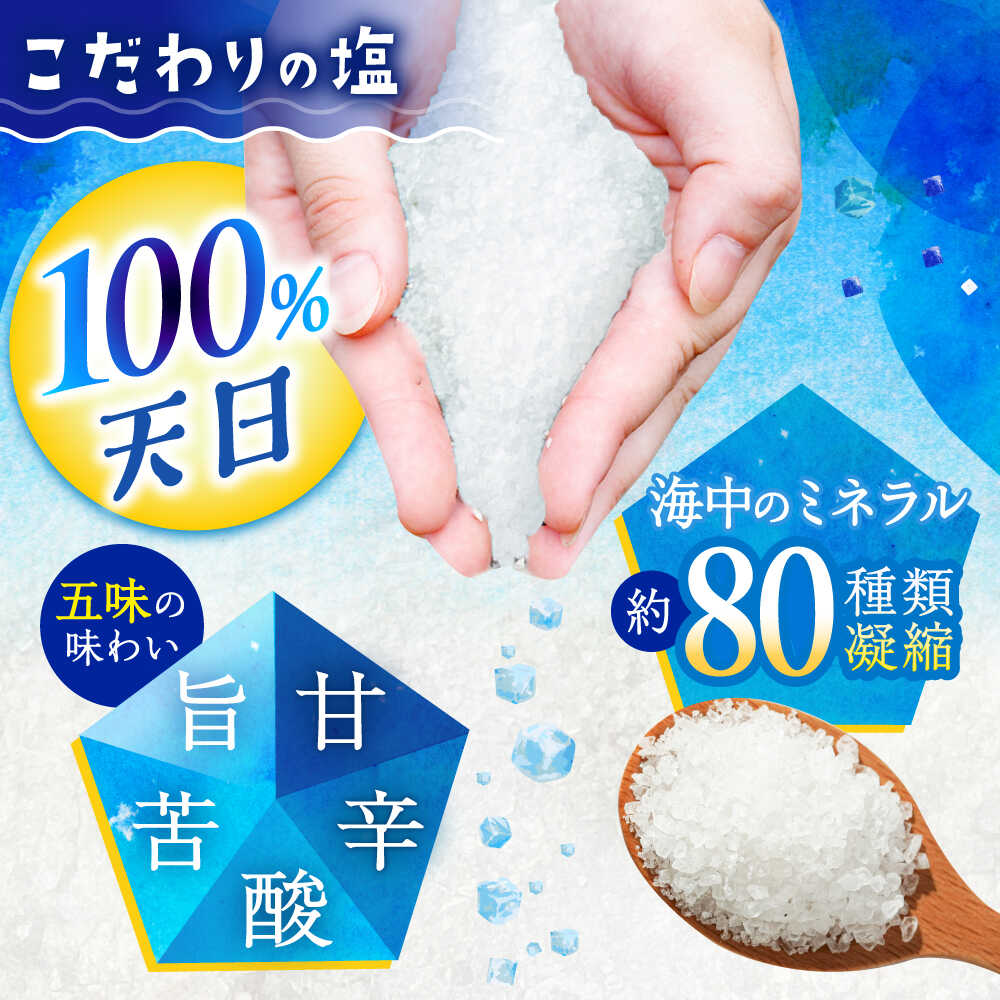【ふるさと納税】 Made in 土佐 天日塩ジェラート6個 塩アイス 土佐 高知アイス カップ 【グレイジア株式会社】[ATAC368] - 画像3