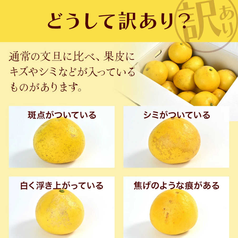 【ふるさと納税】【先行予約】高評価★4.88 高知県産 訳あり 土佐文旦 約 3kg 5kg 10kg 20kg 〈2026年2月〜発送〉 【四国健商】[ATAF038] ＼選べる容量／ 大容量 旬 文旦 みかん 柑橘 ぶんたん ブンタン 果物 フルーツ 訳あり 訳アリ わけあり ワケアリ 理由あり 先行予約 サムネイル2