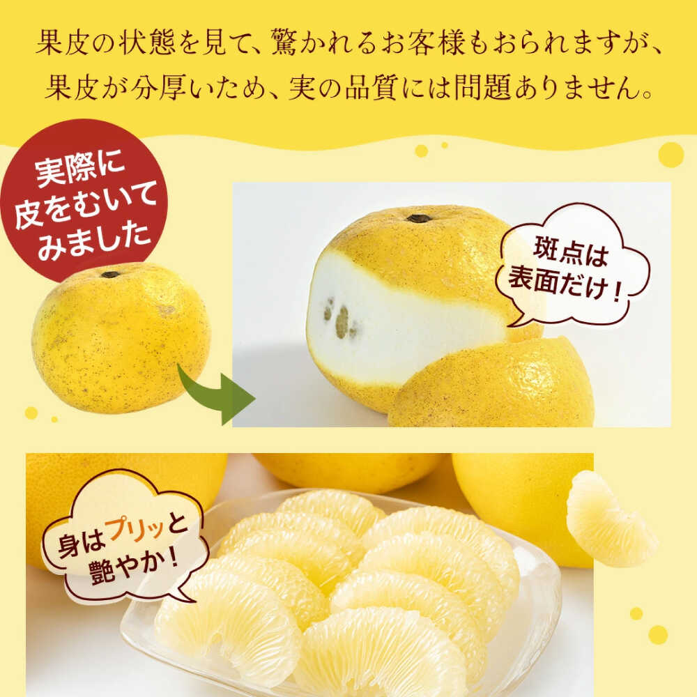 【ふるさと納税】【先行予約】高評価★4.88 高知県産 訳あり 土佐文旦 約 3kg 5kg 10kg 20kg 〈2026年2月〜発送〉 【四国健商】[ATAF038] ＼選べる容量／ 大容量 旬 文旦 みかん 柑橘 ぶんたん ブンタン 果物 フルーツ 訳あり 訳アリ わけあり ワケアリ 理由あり 先行予約 サムネイル3
