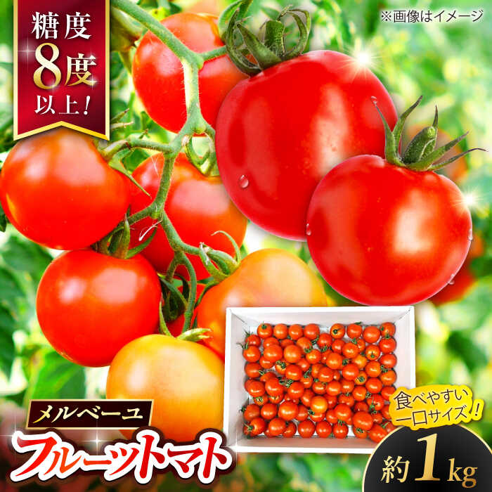 【先行予約】 高知県高知市 フルーツトマト メルベーユ 約1kg 〈2025年12月中旬頃〜発送〉 / 高糖度 トマト とまと フルーツトマト 野菜 【株式会社　四国健商】[ATAF071]