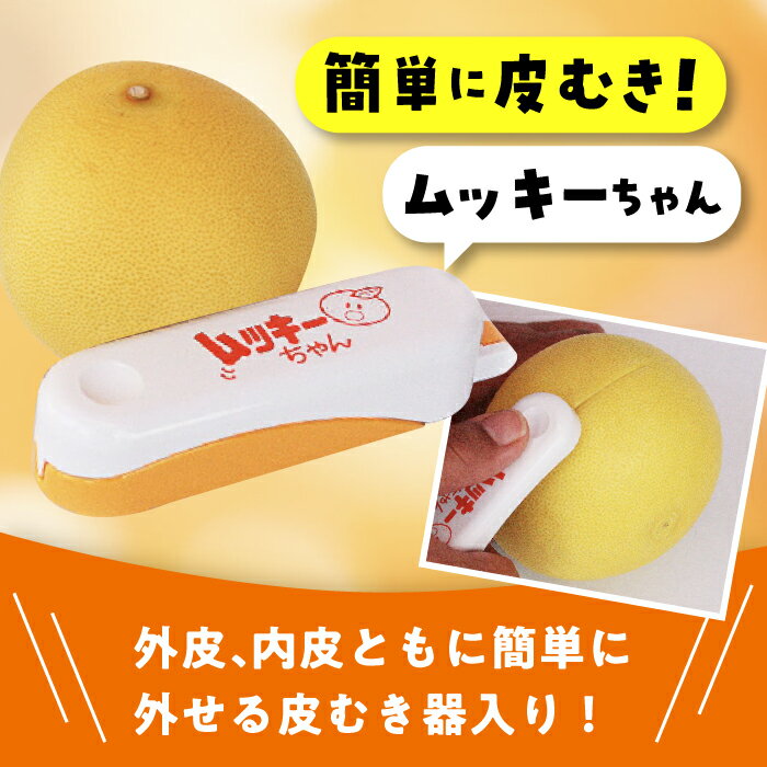 【ふるさと納税】南国土佐の女王柑橘 水晶文旦 約3kg 7玉入り〈2025年9月中旬〜2025年12月下旬頃発送〉/ 文旦 ぶんたん フルーツ 果物 3キロ 高知県 【フルーツショップオザキ】[ATAH006] サムネイル2