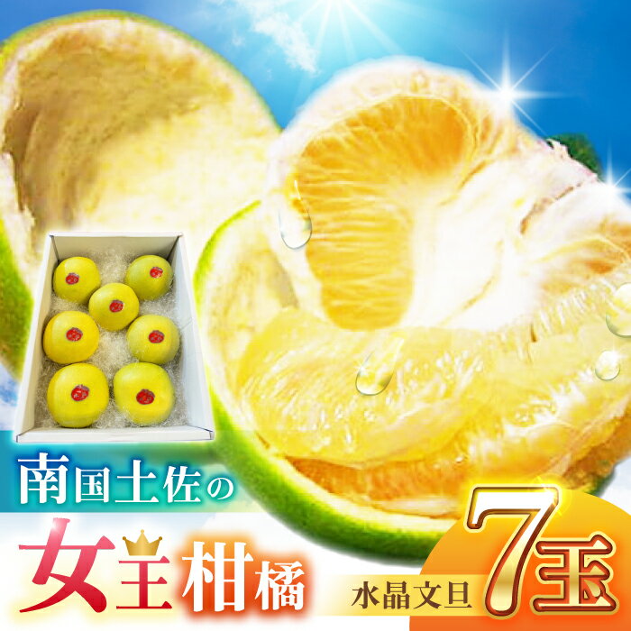 南国土佐の女王柑橘 水晶文旦 約3kg 7玉入り〈2025年9月中旬〜2025年12月下旬頃発送〉/ 文旦 ぶんたん フルーツ 果物 3キロ 高知県 【フルーツショップオザキ】[ATAH006]