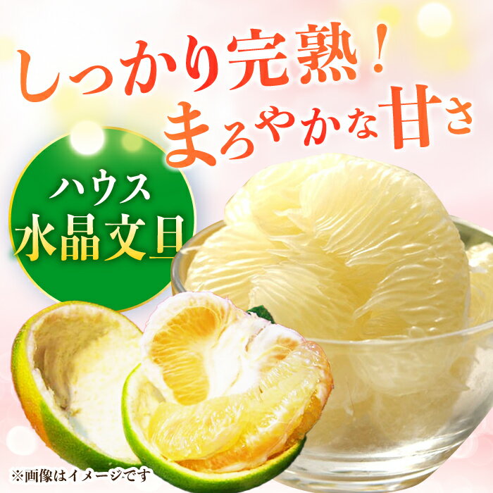 【ふるさと納税】南国土佐の女王柑橘 水晶文旦 約3kg 6玉入り〈2025年9月中旬〜2025年12月下旬頃発送〉/ ぶんたん 文旦 フルーツ 高知名物 果物 【フルーツショップオザキ】[ATAH007] サムネイル2