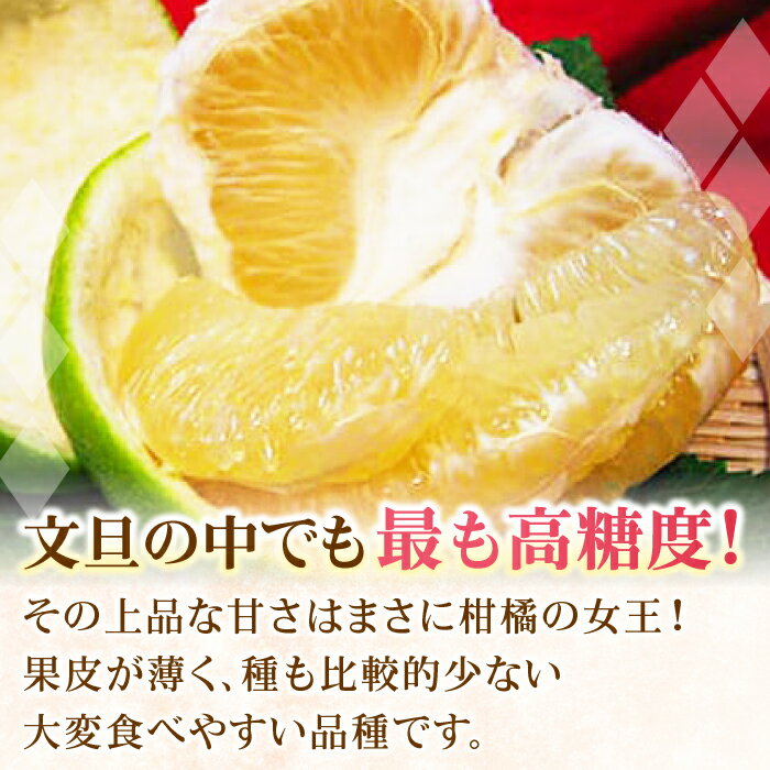 【ふるさと納税】南国土佐の女王柑橘 水晶文旦 約3kg 6玉入り〈2025年9月中旬〜2025年12月下旬頃発送〉/ ぶんたん 文旦 フルーツ 高知名物 果物 【フルーツショップオザキ】[ATAH007] サムネイル3