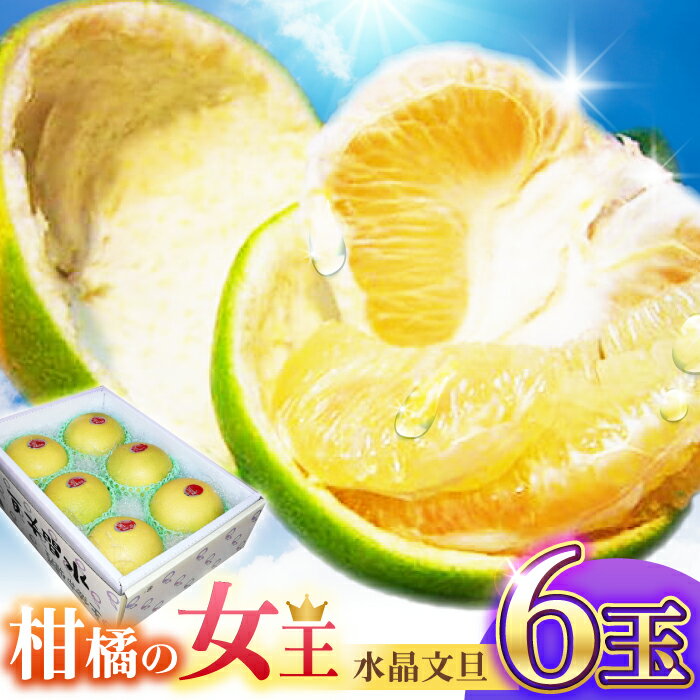 南国土佐の女王柑橘 水晶文旦 約3kg 6玉入り〈2025年9月中旬〜2025年12月下旬頃発送〉/ ぶんたん 文旦 フルーツ 高知名物 果物 【フルーツショップオザキ】[ATAH007]
