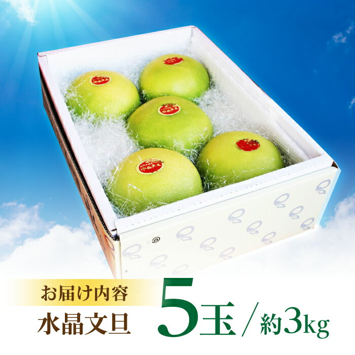 【ふるさと納税】南国土佐の女王柑橘 水晶文旦 約3kg 5玉入り〈2025年9月中旬〜2025年12月下旬頃発送〉/ 文旦 ぶんたん フルーツ 果物 3キロ 高知県 【フルーツショップオザキ】[ATAH008] サムネイル3
