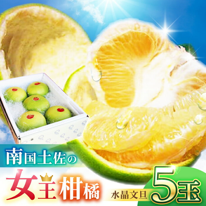 南国土佐の女王柑橘 水晶文旦 約3kg 5玉入り〈2025年9月中旬〜2025年12月下旬頃発送〉/ 文旦 ぶんたん フルーツ 果物 3キロ 高知県 【フルーツショップオザキ】[ATAH008]