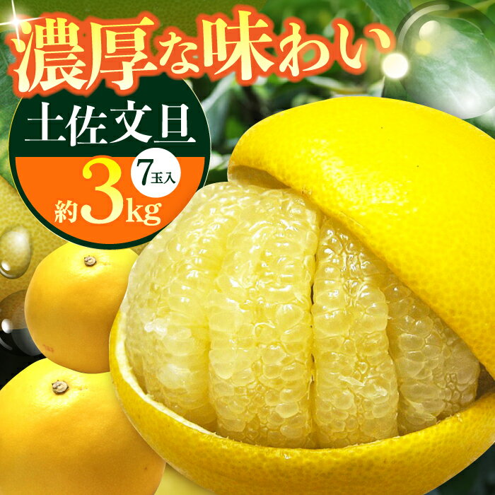 【先行予約】南国高知温室 土佐文旦 約3kg 7玉〈2025年11月中旬〜2026年2月中旬頃発送〉/ 文旦 ぶんたん フルーツ 果物 3キロ 高知県 【フルーツショップオザキ】[ATAH011]