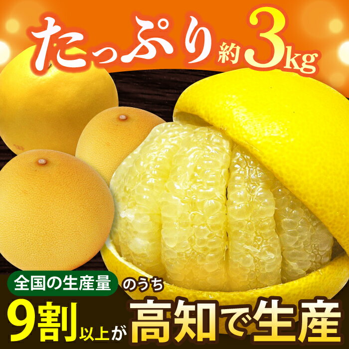 【ふるさと納税】【先行予約】南国高知温室土佐文旦 約3kg 5玉〈2025年11月中旬〜2026年2月中旬頃発送〉/ 文旦 ぶんたん フルーツ 果物 3キロ 高知県 【フルーツショップオザキ】[ATAH013] サムネイル2