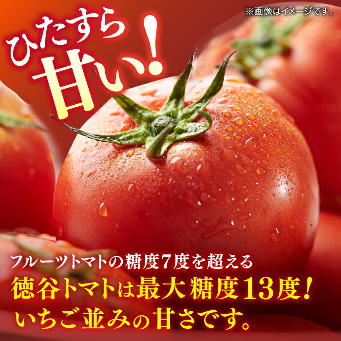 【ふるさと納税】【先行予約】希少！特選 徳谷トマト 約2kg 生産者52番〈2026年1月中旬～2026年6月下旬頃発送〉/ 高糖度 甘い 贈答 高知 フルーツ 果物 数量限定 【フルーツショップオザキ】[ATAH014] サムネイル2