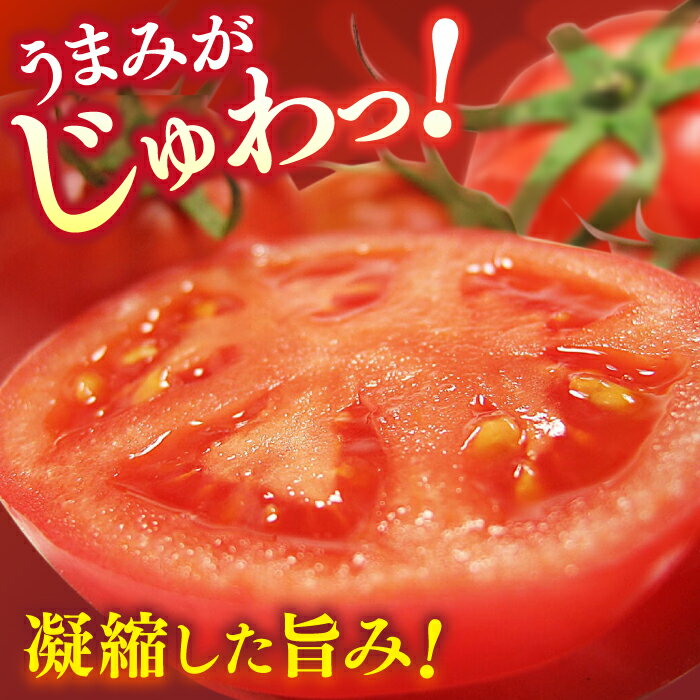 【ふるさと納税】【先行予約】希少！特選 徳谷トマト 約2kg 生産者52番〈2026年1月中旬～2026年6月下旬頃発送〉/ 高糖度 甘い 贈答 高知 フルーツ 果物 数量限定 【フルーツショップオザキ】[ATAH014] サムネイル3