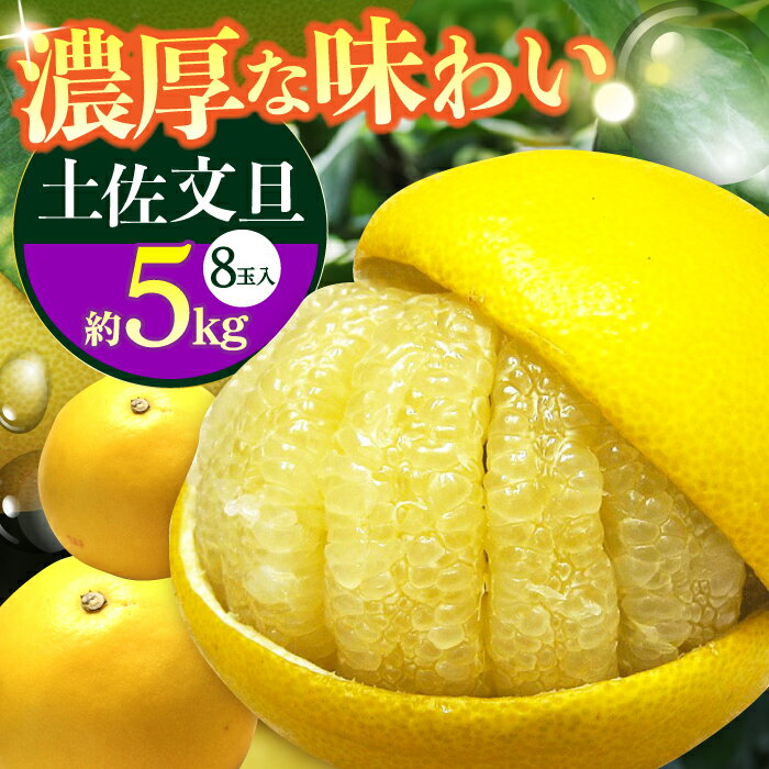 【先行予約】南国高知温室土佐文旦 約5kg 8玉〈2025年11月中旬〜2026年2月中旬頃発送〉/ 文旦 ぶんたん フルーツ 果物 5キロ 高知県 【フルーツショップオザキ】[ATAH015]