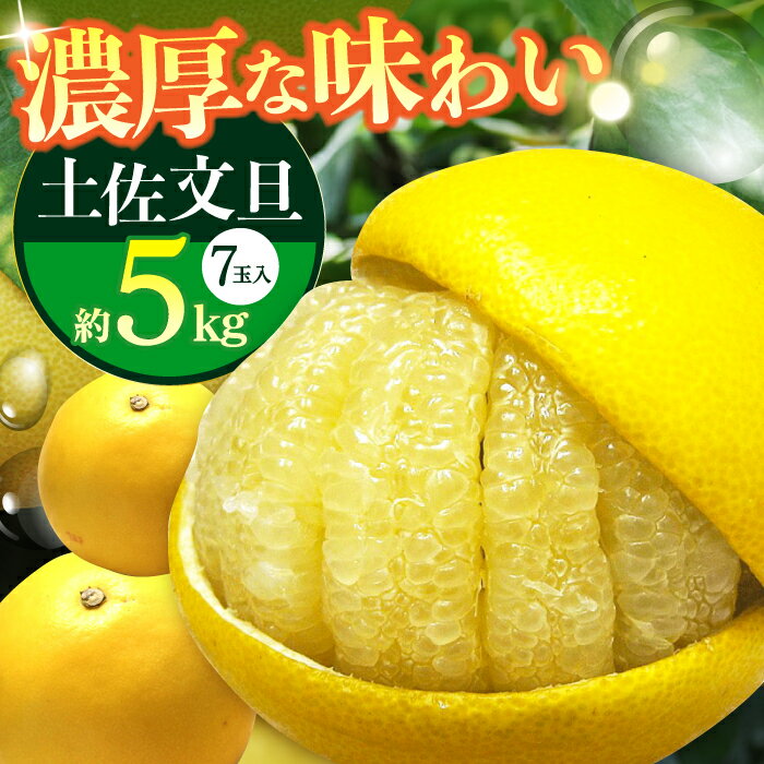 【先行予約】南国高知温室土佐文旦 約5kg 7玉〈2025年11月中旬〜2026年2月中旬頃発送〉/ ぶんたん 果物 フルーツ 高知名物 【フルーツショップオザキ】[ATAH016]