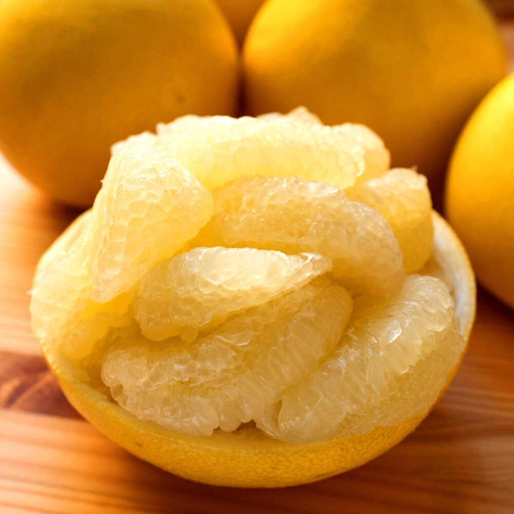 【ふるさと納税】【先行予約】 千光士農園の土佐文旦 約5kg 家庭用 〈2026年2月中旬より発送〉 / 文旦 ぶんたん ブンタン 土佐文旦 柑橘 果物 フルーツ デザート 春 期間限定 季節限定 土佐 高知 【株式会社Dorago】[ATAM062] サムネイル2