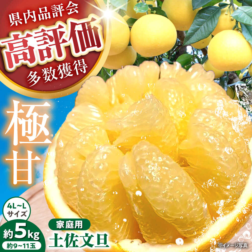 【先行予約】 千光士農園の土佐文旦 約5kg 家庭用 〈2026年2月中旬より発送〉 / 文旦 ぶんたん ブンタン 土佐文旦 柑橘 果物 フルーツ デザート 春 期間限定 季節限定 土佐 高知 【株式会社Dorago】[ATAM062]