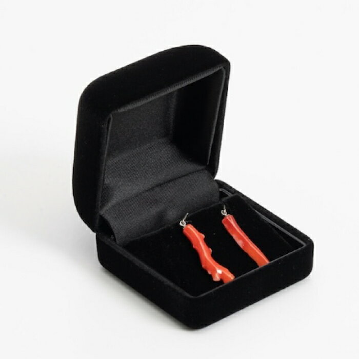 【ふるさと納税】血赤珊瑚枝のアメリカンピアス 【株式会社ケンセン35】[ATAR024] サムネイル2