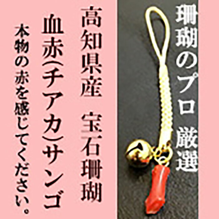小さい血赤珊瑚根付 本物の宝石 (サンゴ) 高知県産血赤珊瑚の赤を見てみたいという方に！ 【株式会社ケンセン35】[ATAR032]