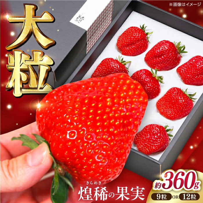 【先行予約】煌稀の果実 大粒 苺 約360g (9または12粒) 高知市春野町産〈2026年1月上旬～2026年4月上旬頃発送〉 / いちご イチゴ 果物 フルーツ【森強のいちご農園】[ATAS001]
