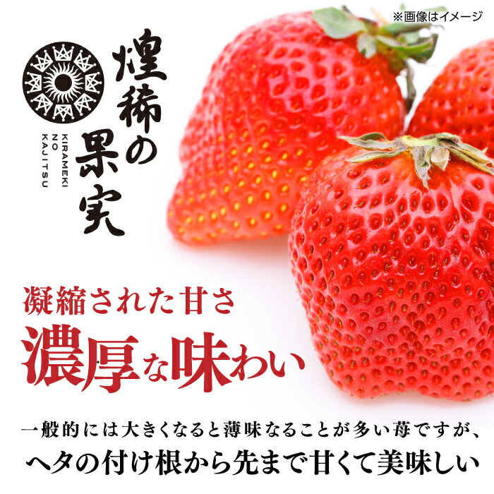 【ふるさと納税】【先行予約】煌稀の果実 特大 苺 (約600g 9または12粒) 高知市春野町産〈2026年1月上旬～2026年3月上旬頃発送〉 / いちご イチゴ 果物 フルーツ 【森強のいちご農園】[ATAS002] サムネイル3