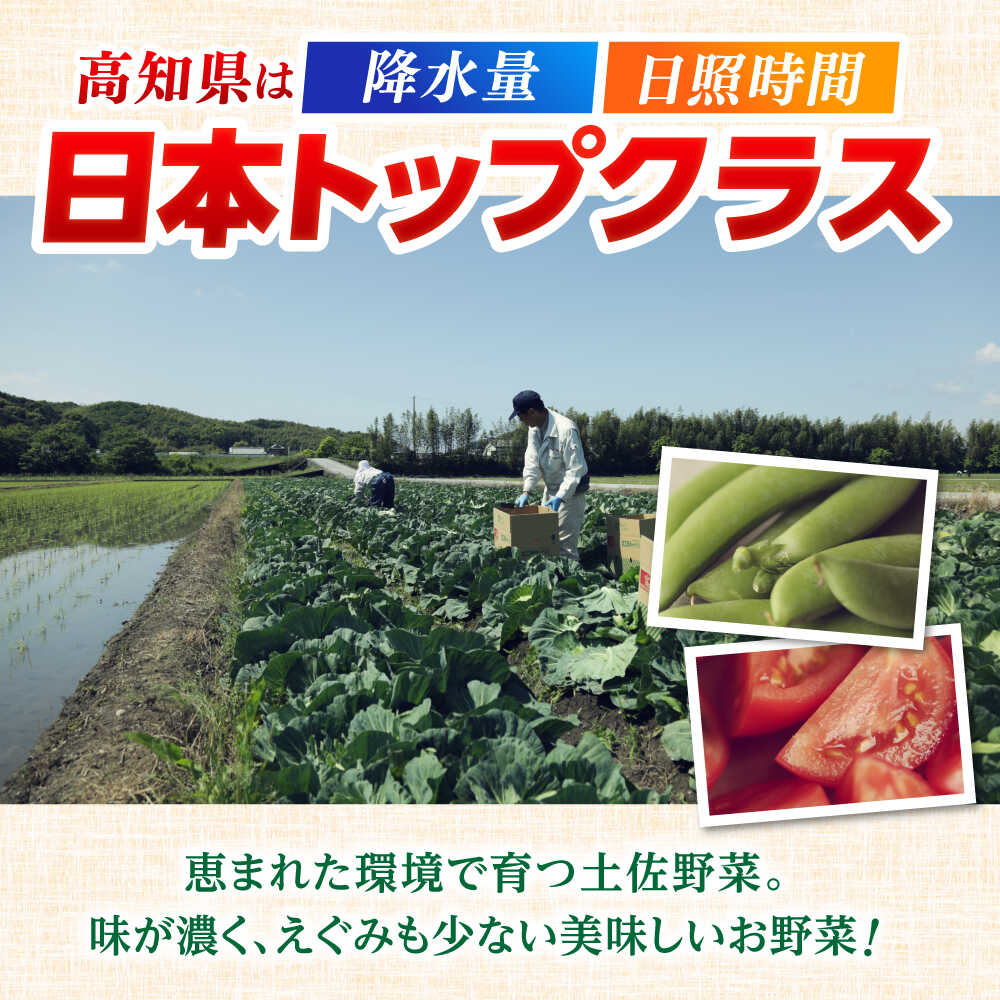 【ふるさと納税】【12回定期便】 土佐の太陽をいっぱいに浴びた旬の野菜セット〈選べる容量＆生姜有無〉 【土佐野菜】[ATBA007]詰め合わせ 新鮮 産地直送 おまかせ 季節の野菜 定期便 セット 野菜定期便 野菜 定期 やさい ヤサイ 送料無料 - 画像2