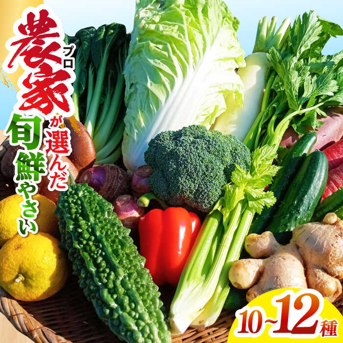 高知県産 土佐季節の野菜詰め合せセット 【香稜苑】[ATBQ001] 訳あり 不揃い 規格外